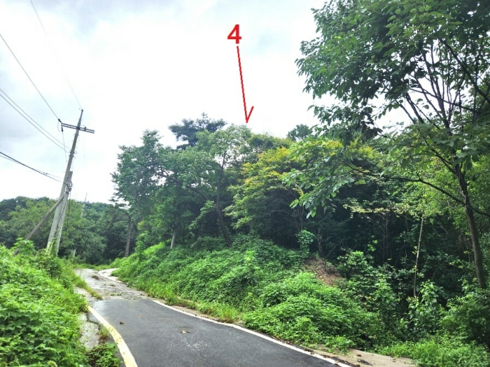 기호4(남측에서