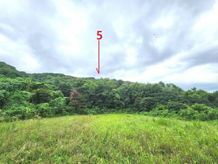 기호5(서측에서