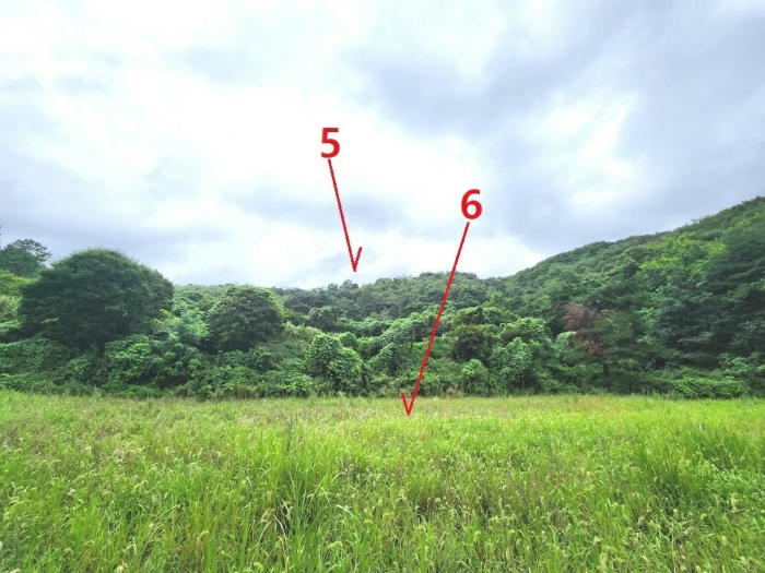 기호5(남동측에