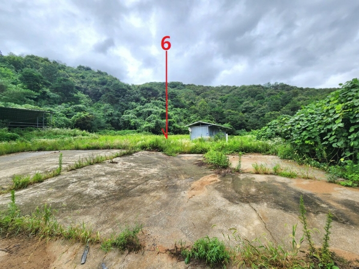 기호6(서측에서