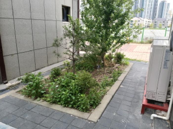 * 본건 목적물 전경(화단)