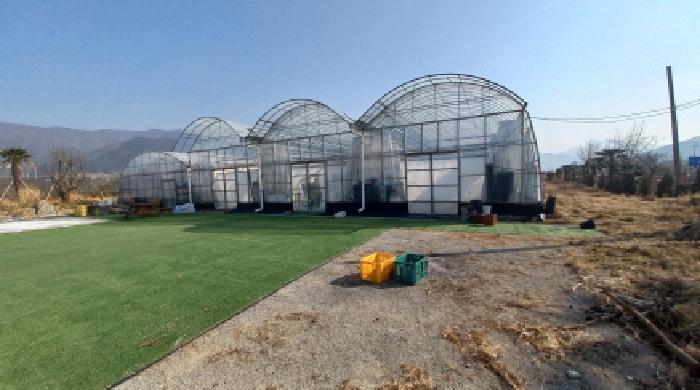 목록 5 및 제시외