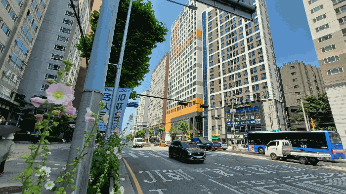 [본건 주위환경