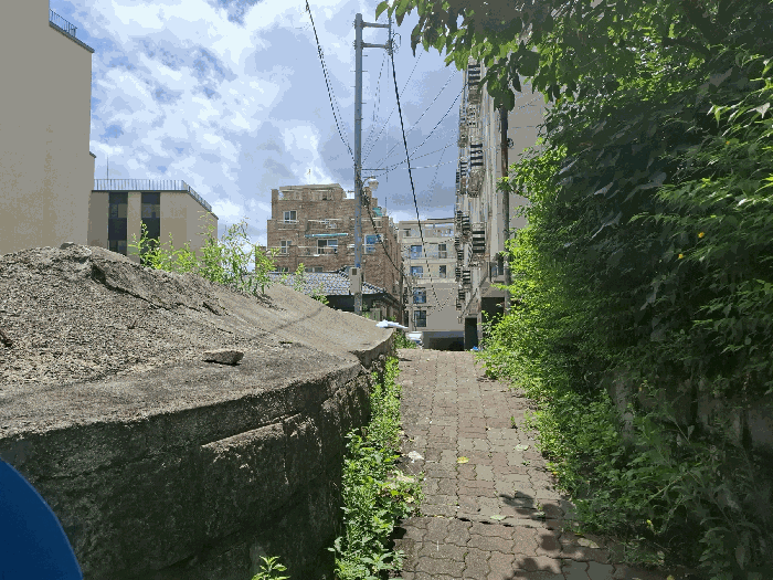 주위환경(서측 도로변)