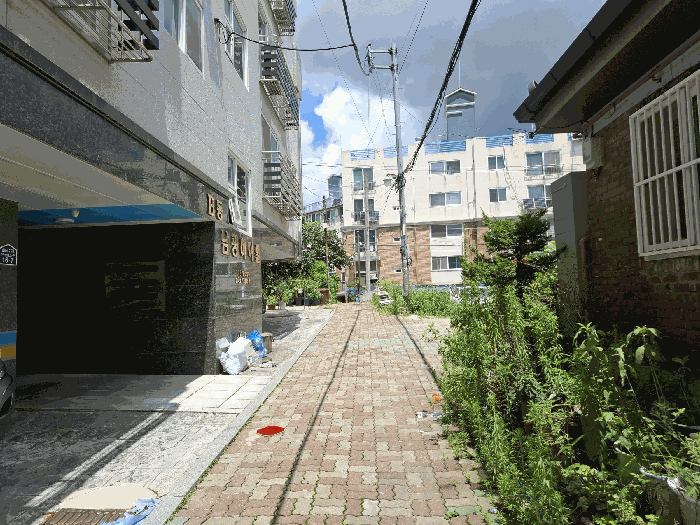 주위환경(서측 도로변)