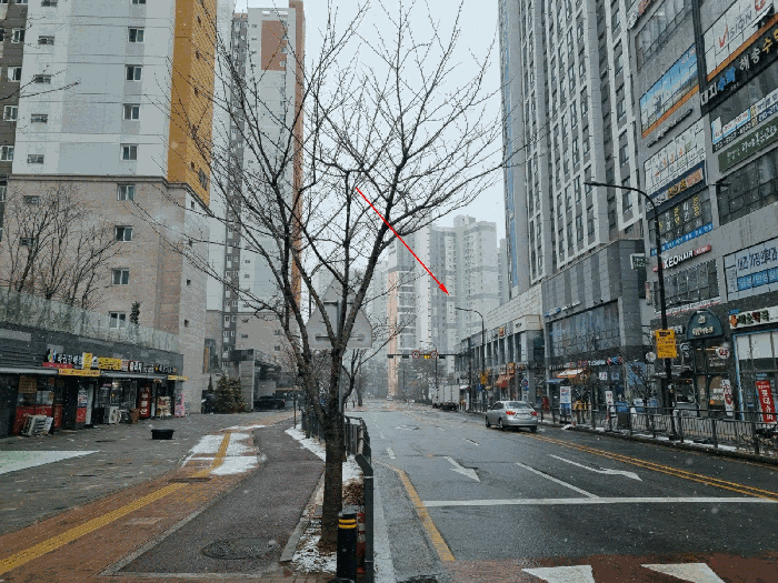 주위 전경(북동