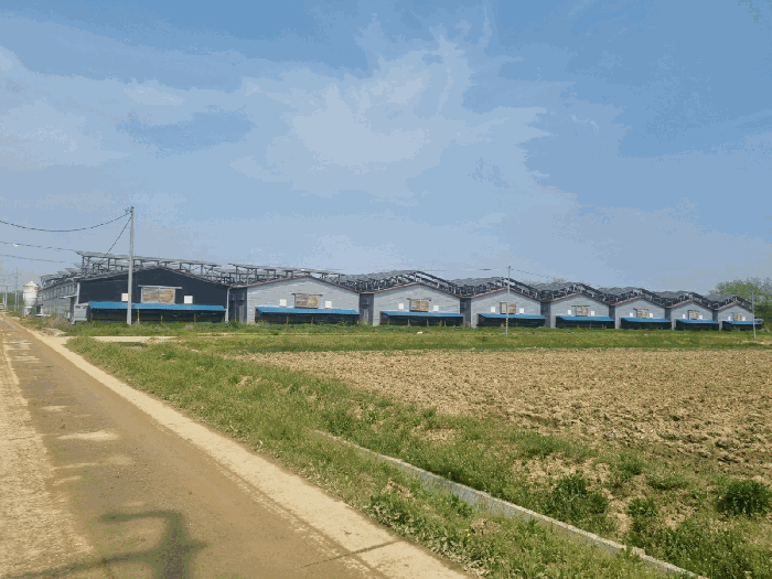 기호(1,2,4~7) 전경