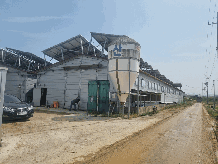 기호(16-자) 전경