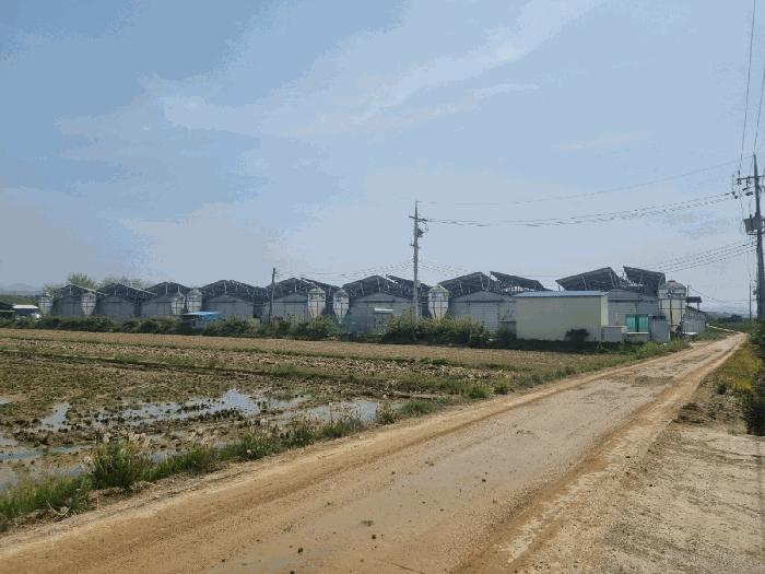 기호(1,2,4~7) 전경