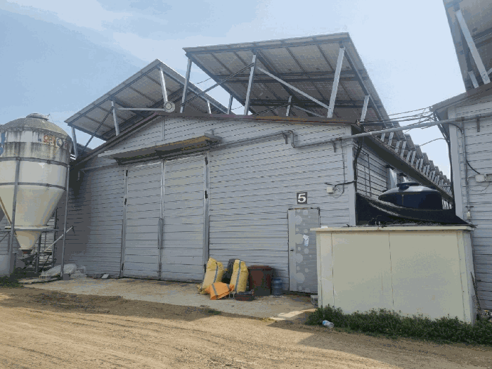 기호(11-라) 전경