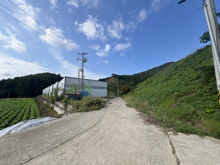 본건 북동측에서 촬영