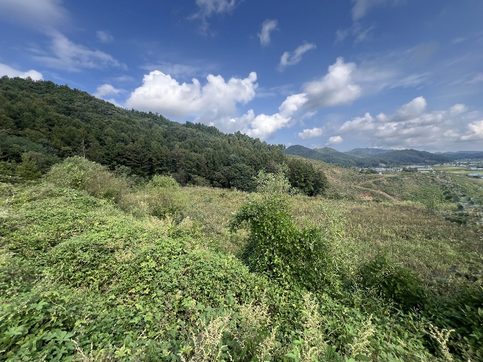 기호(4,5,11,12) 전경