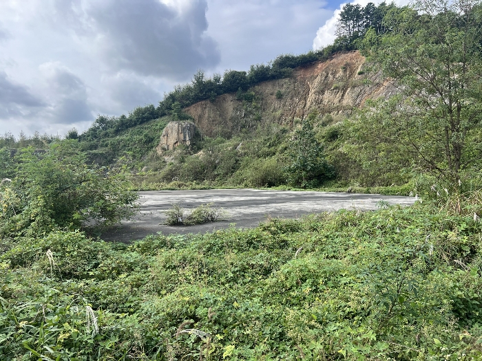 기호(13,14) 전경