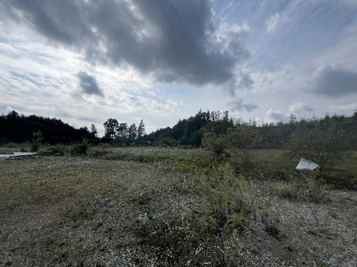 기호(15-16) 전경