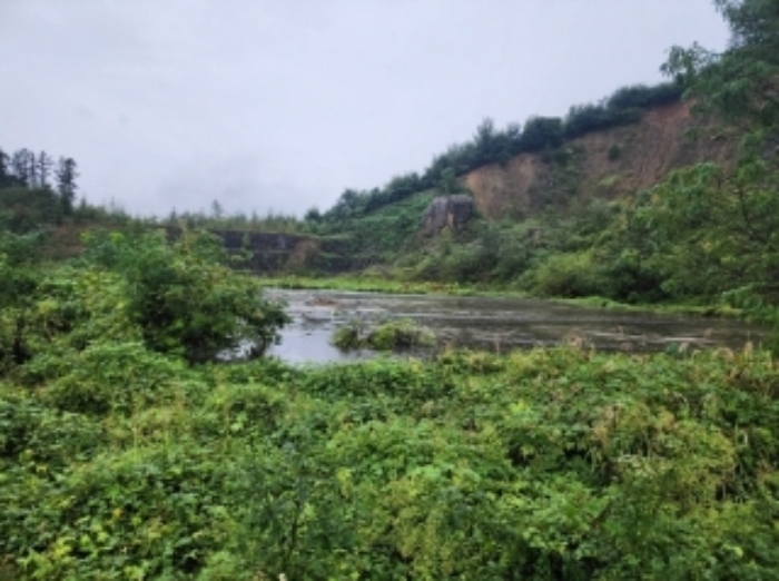 본건14, 제시외1