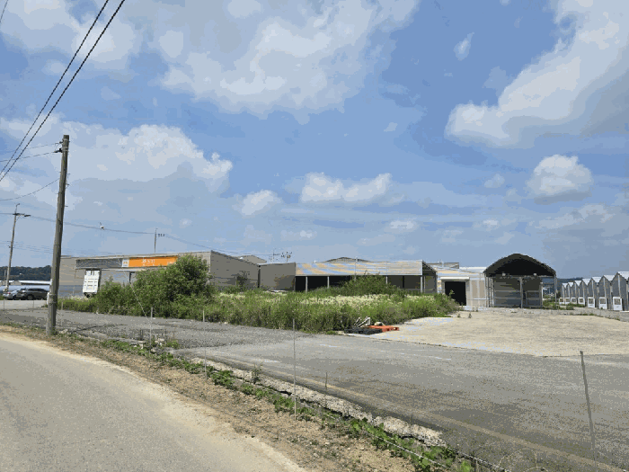 감정서 표지사진