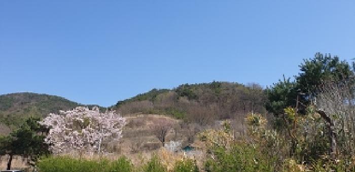 6,7번 부동산 모습