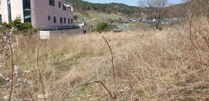 1번 부동산 모습