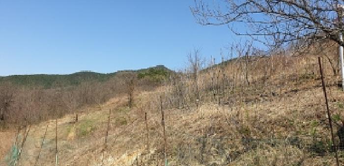 2,3번 부동산 모습