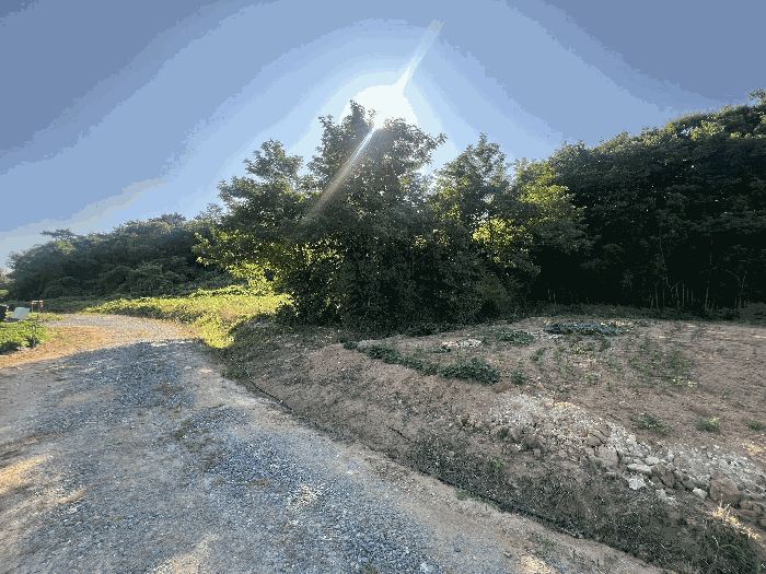 본건 전경4