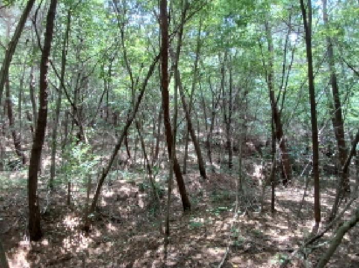 목록9(임야)