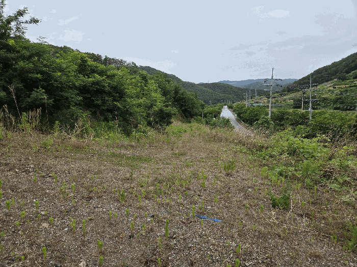 기호(4)토지 동측에서 촬영