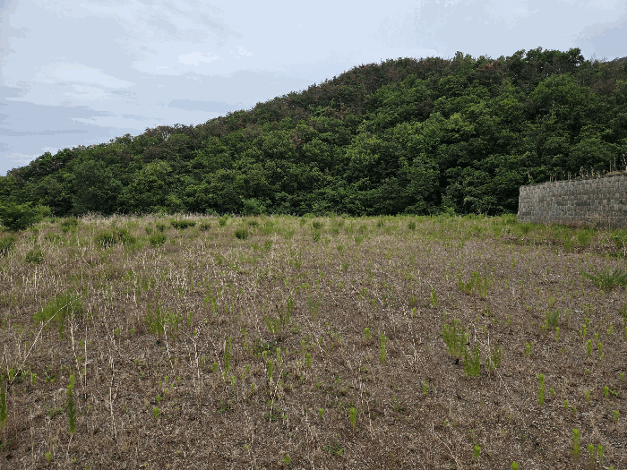 기호(2)토지 서측에서 촬영