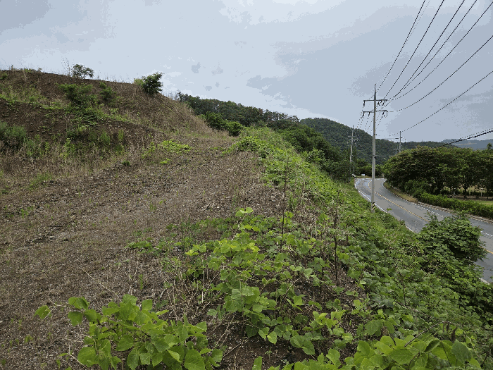 기호(5)토지 동측에서 촬영