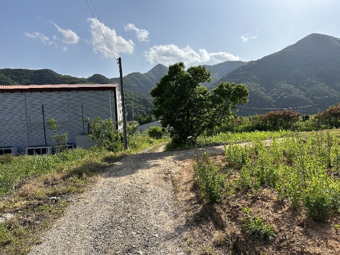 본건 주위 전경