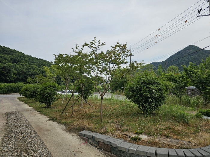 수목(배롱나무 등)