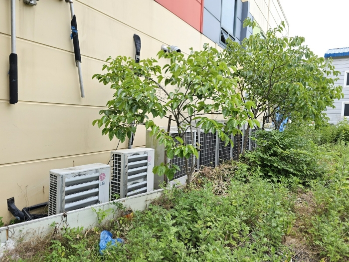 수목(감나무 등)