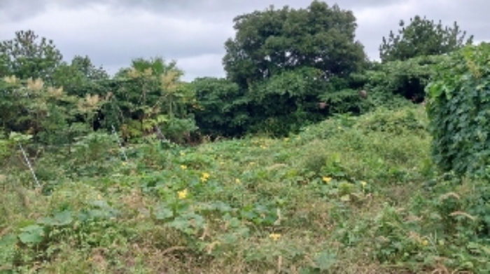 소재지4(수산리 3946-6) 전경2