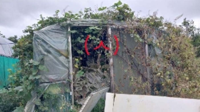 소재지4(수산리 3946-6) 지상에 소재한 제시외 건물(ㅅ)