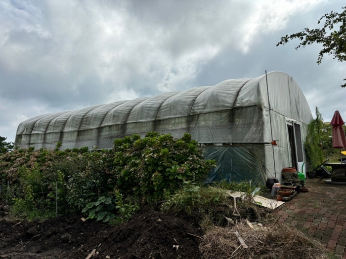 제시외 건물(ㅅ)