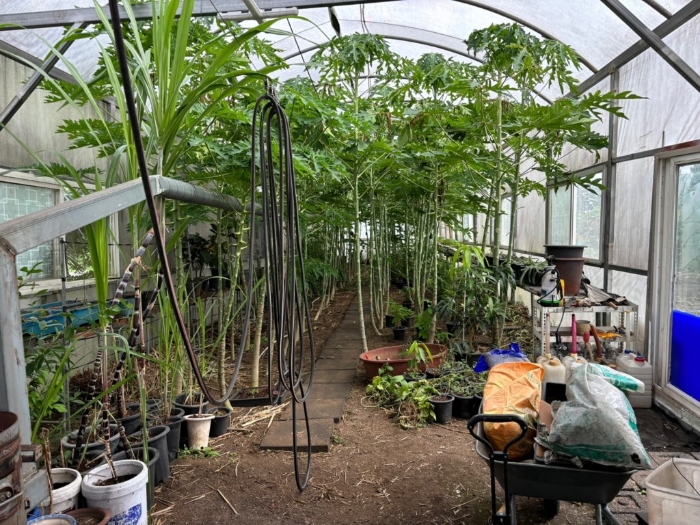 제시외 건물(ㅇ) 내부