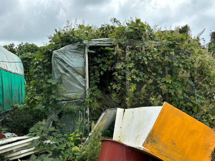 제시외 건물(ㅈ)