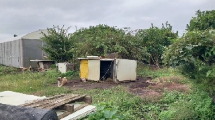 소재지3(수산리 3946-1) 지상에 소재한 견사