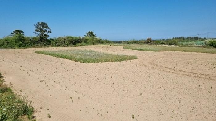 소재지1(행원리