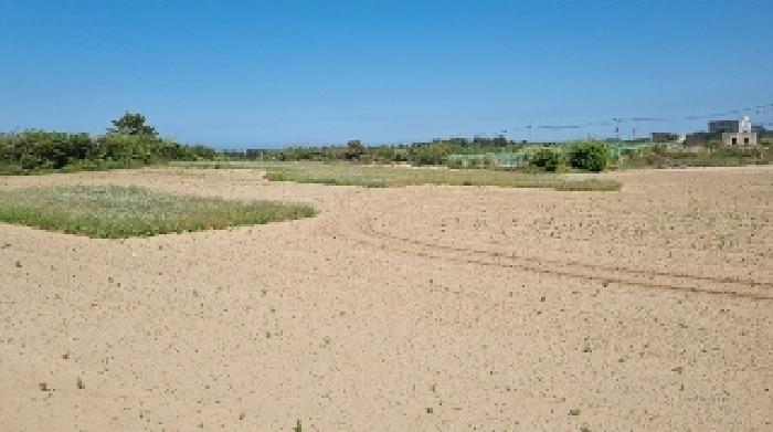 소재지1(행원리