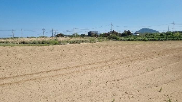 소재지3(행원리