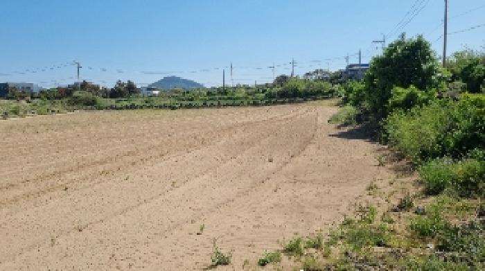 소재지3(행원리