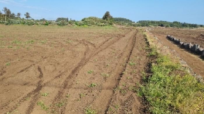 소재지1(세화리 2778-2) 전경1