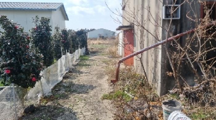 소재지3(토평동