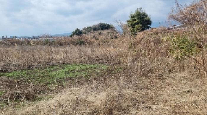 소재지3(토평동