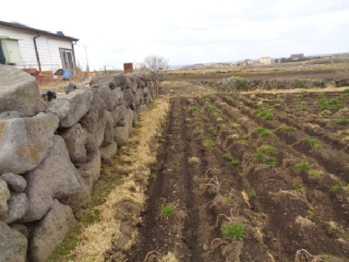 소재지 1.(상모리 287) 전경