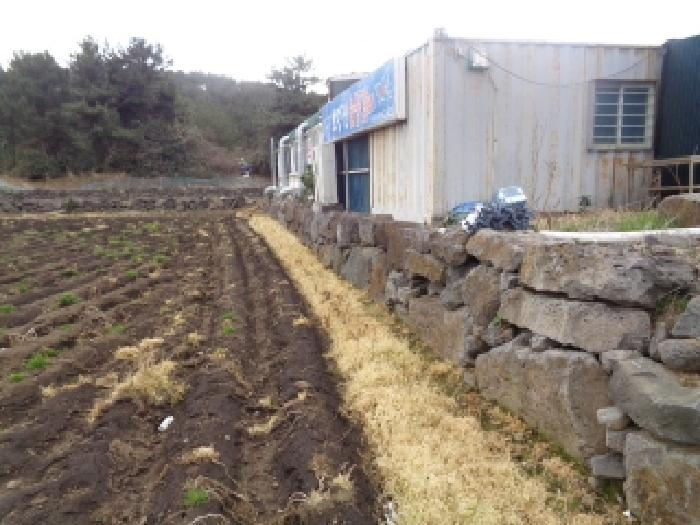 소재지 1.(상모리 287) 전경