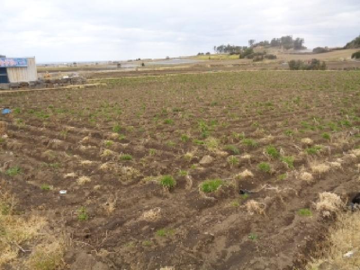 소재지 2.(상모리 287-3) 전경