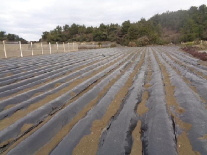 소재지 2.(상모리 287-3) 전경