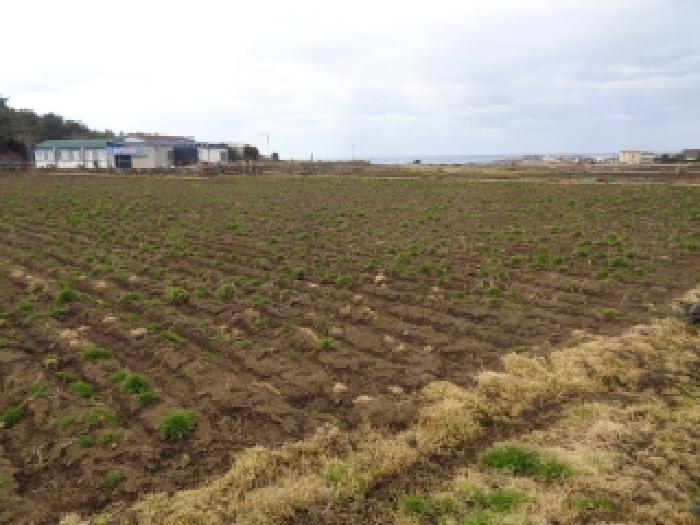 소재지 2.(상모리 287-3) 전경