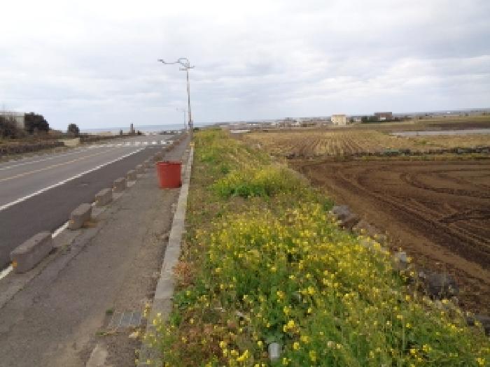 소재지 3.(상모리 284) 전경